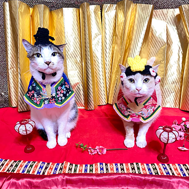 ike2910さんの実例写真