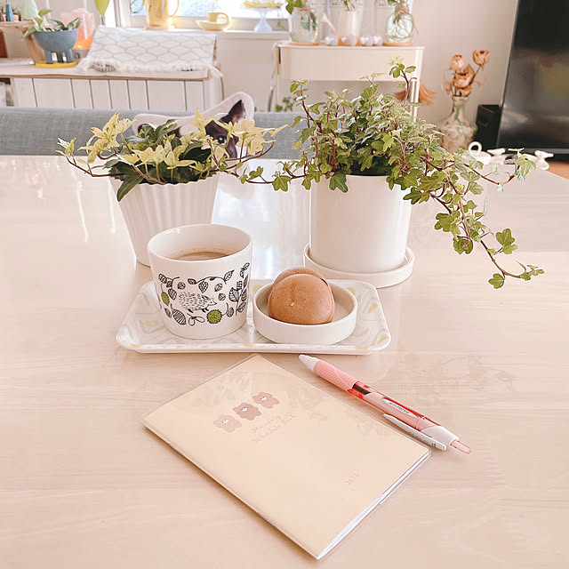 akiko-ovさんの実例写真