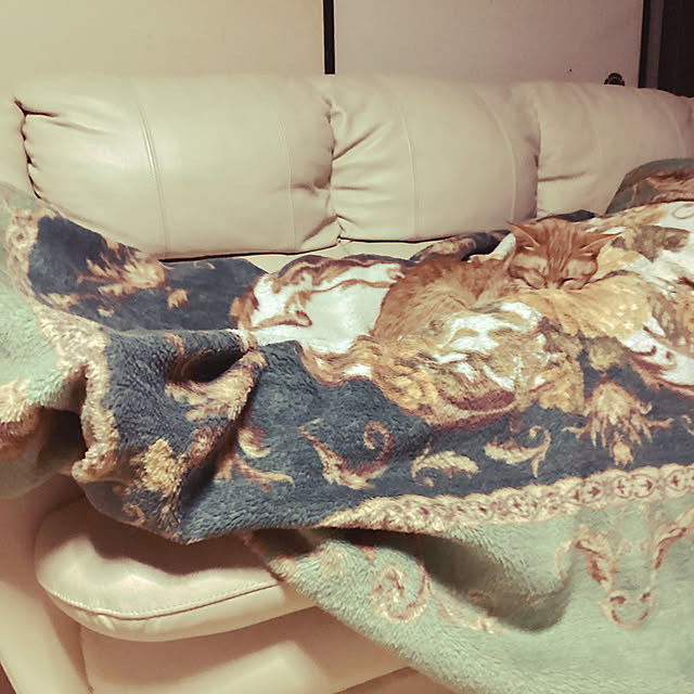conatuさんの実例写真