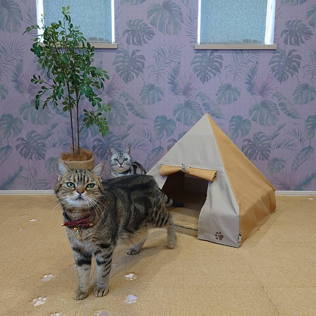 NANACOCOさんの実例写真