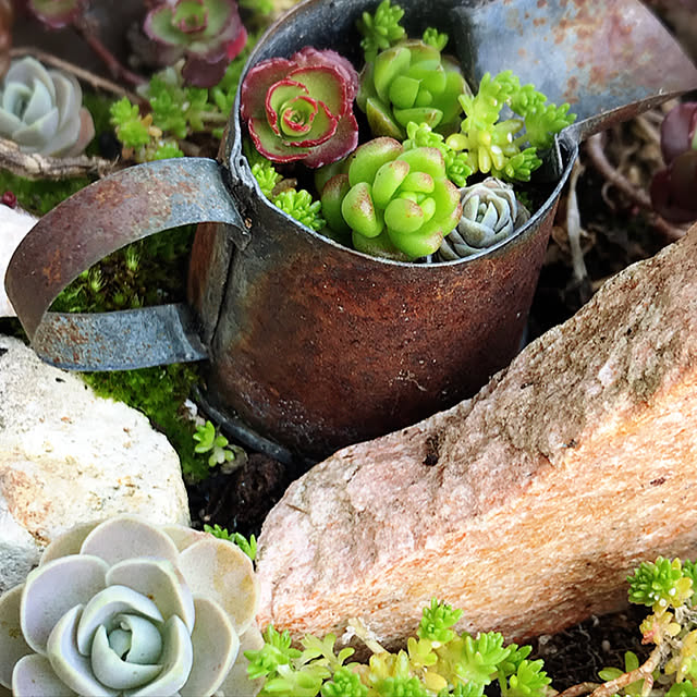 **yuu**さんの実例写真