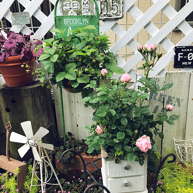 tanomamaさんの実例写真