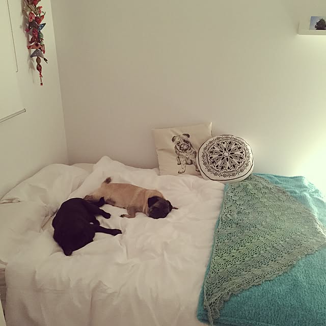 bluepug77さんの実例写真