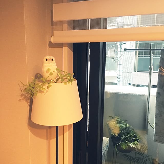 Yucokeさんの実例写真