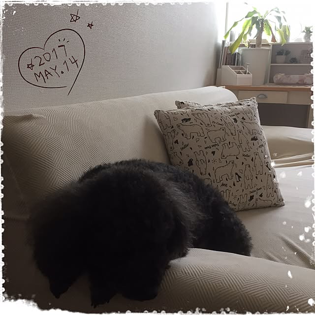mimさんの実例写真