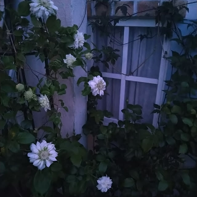 kiyosukeさんの実例写真