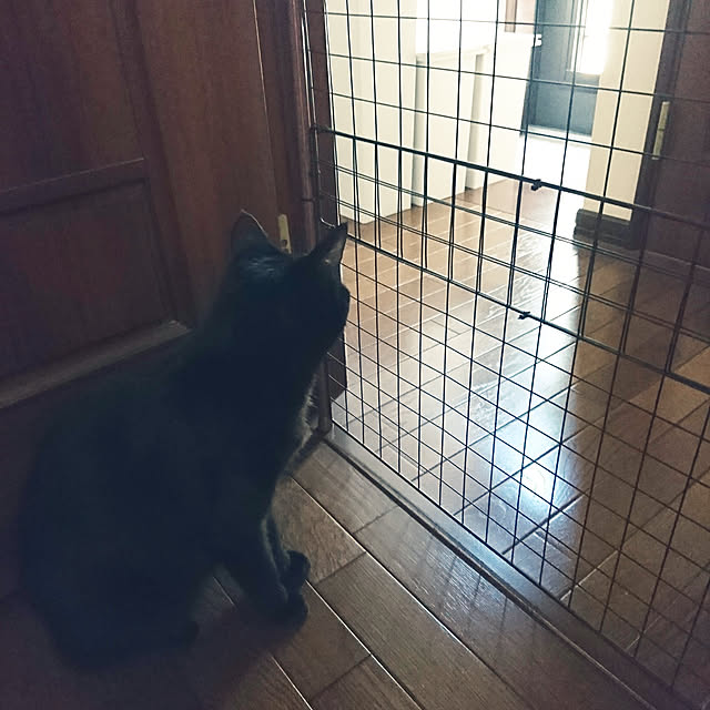 Kさんの実例写真