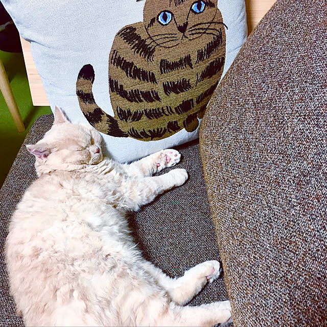 naokoさんの実例写真