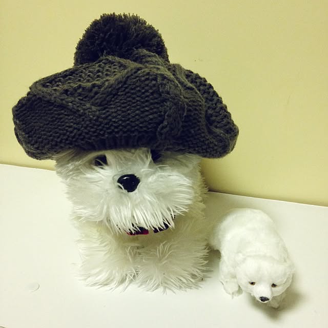 Yurieさんの実例写真