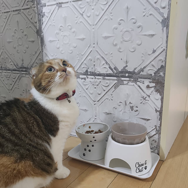 hiro3さんの実例写真
