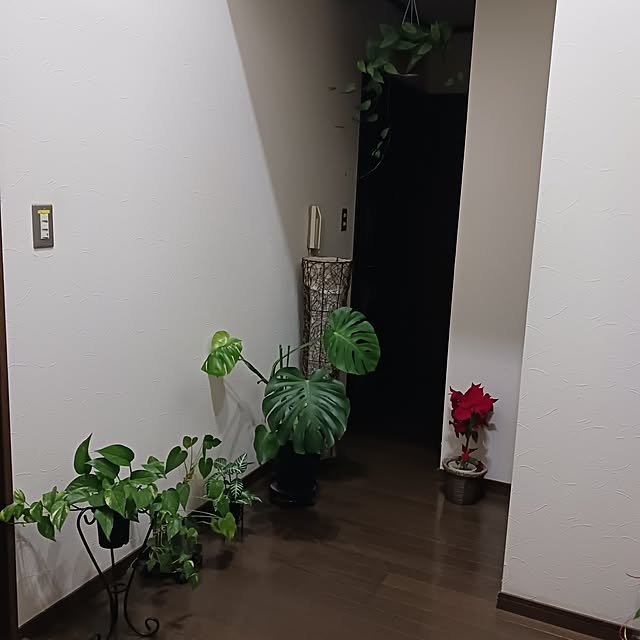 cyokoさんの実例写真