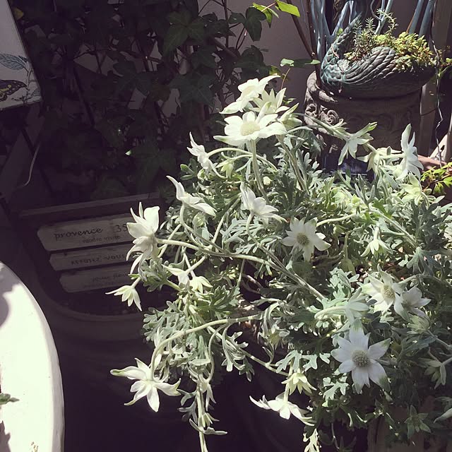 emmyyさんの実例写真
