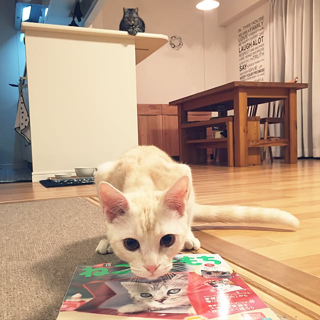hiyupan88さんの実例写真