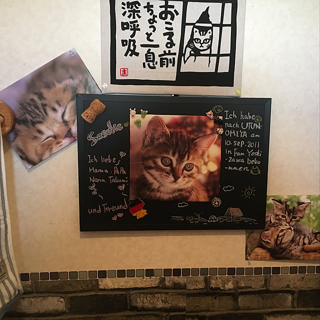 manmarunekoさんの実例写真