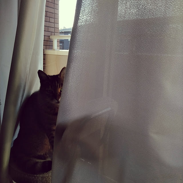 lilyさんの実例写真