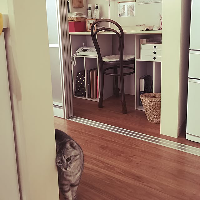 CHIEさんの実例写真