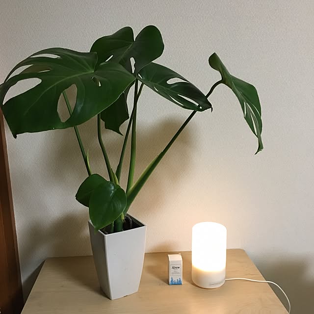 collonさんの実例写真