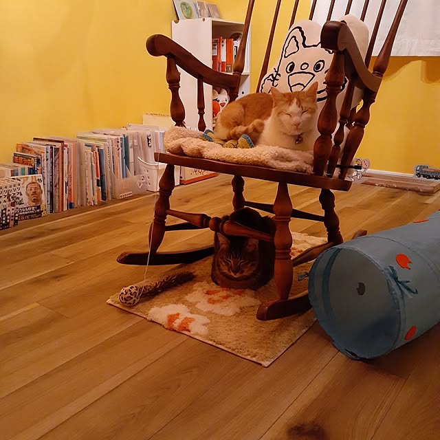 knm5588さんの実例写真