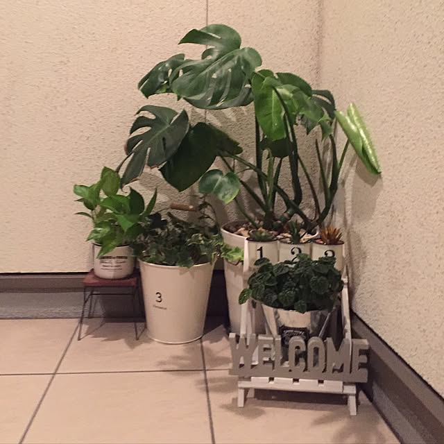 4kidsさんの実例写真