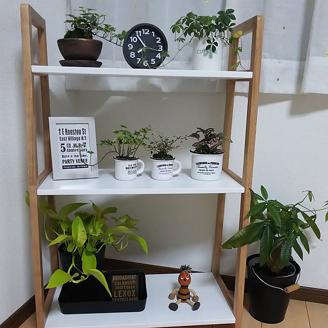 akiさんの実例写真