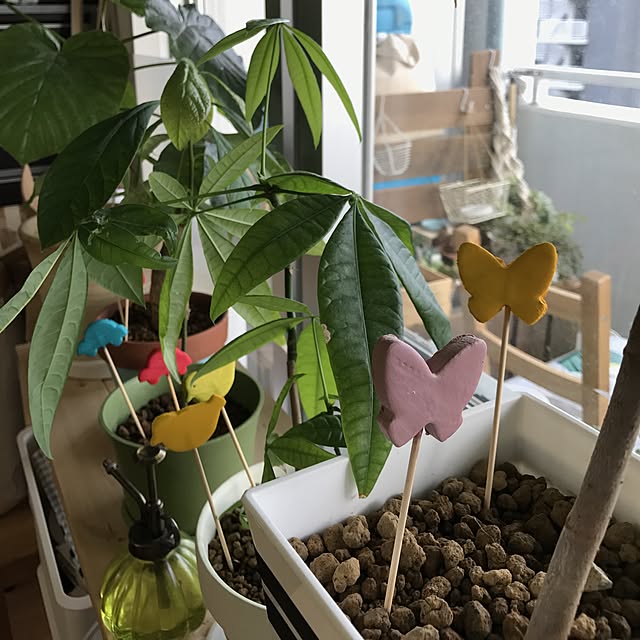 yuccoさんの実例写真