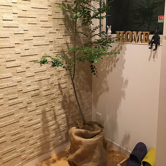 Yuichiさんの実例写真