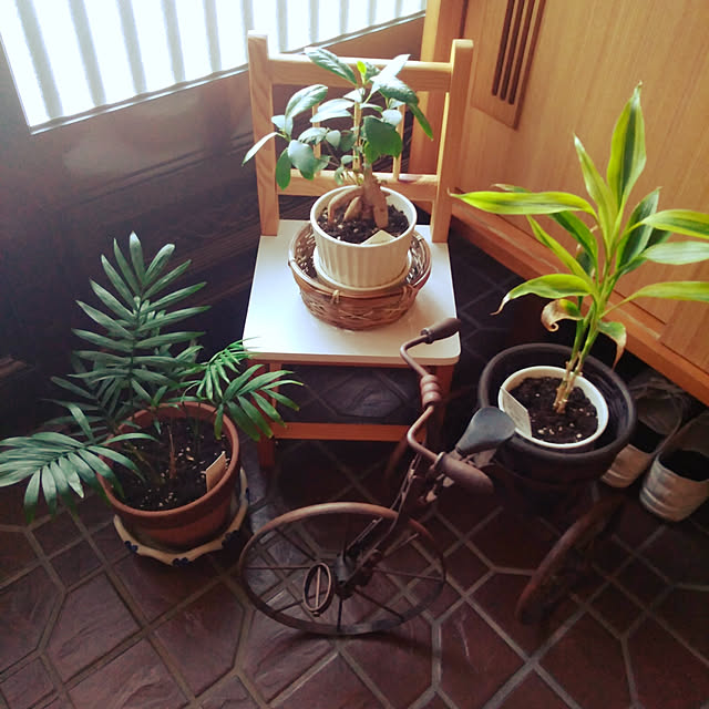emibutaさんの実例写真