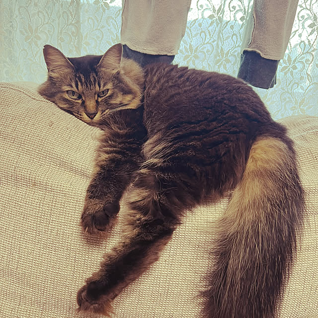 puku.meruさんの部屋