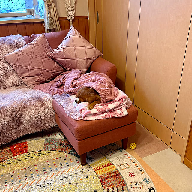 juncocoさんの実例写真