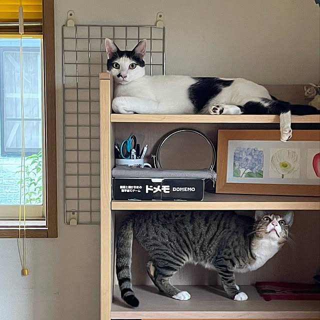 nobikoさんの実例写真