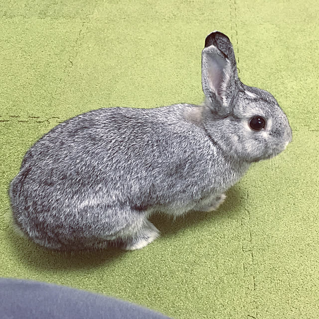akistyleさんの実例写真