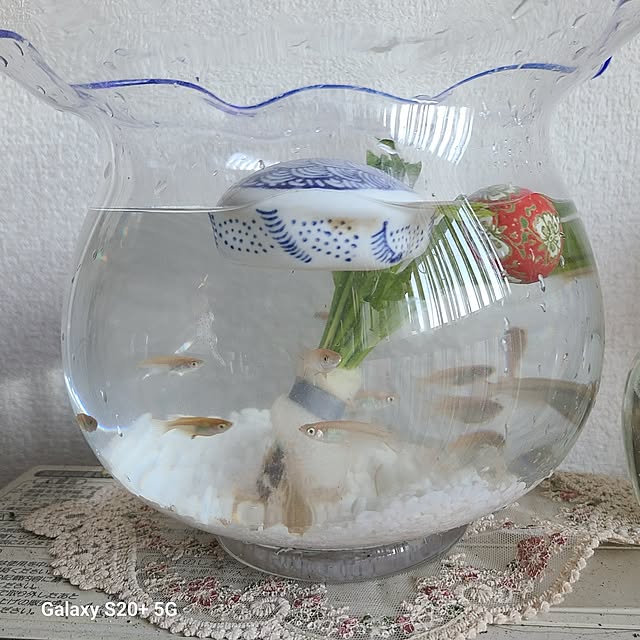 monnさんの実例写真