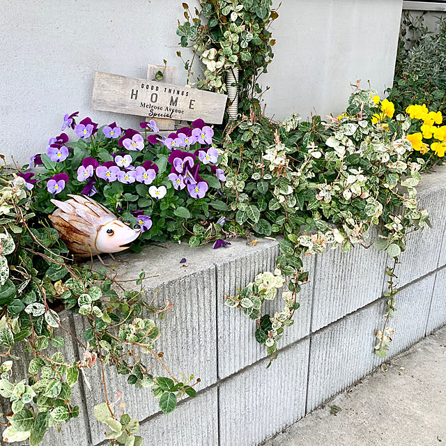 Minteaさんの実例写真