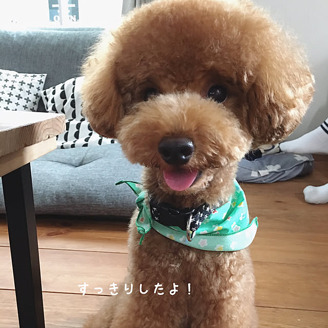 tomoさんの実例写真