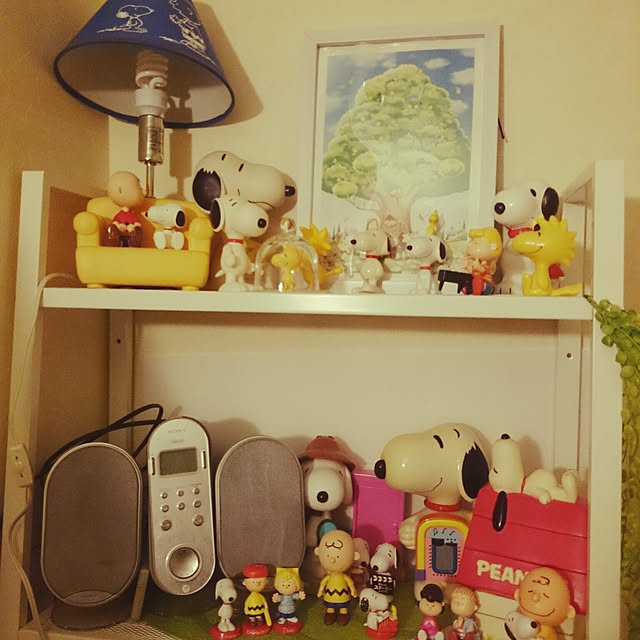 rinmarorinさんの実例写真