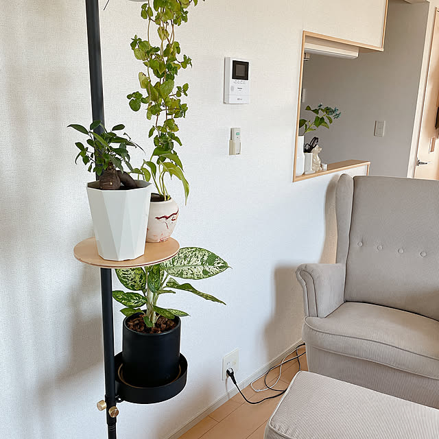 tmmさんの部屋