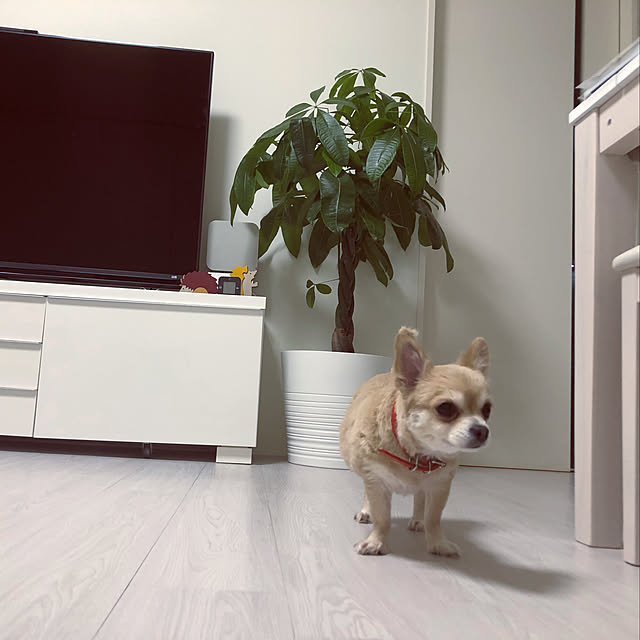 nori.kさんの実例写真