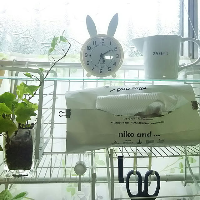 Netemosametemo-amiさんの実例写真