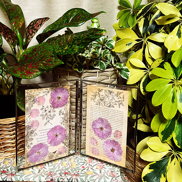 ChiCoさんの実例写真