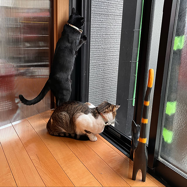jijiさんの実例写真