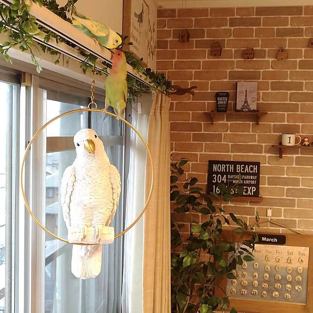 yukkieさんの実例写真