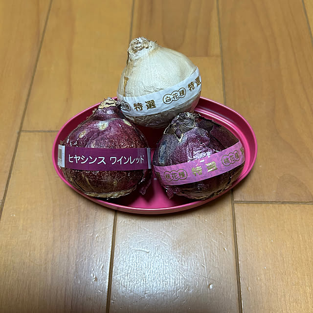 fumikoiさんの部屋