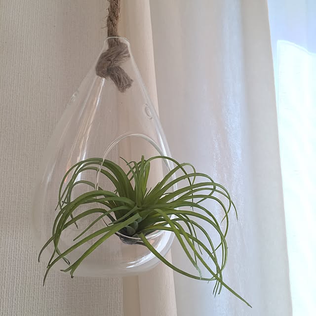 osaruさんの実例写真