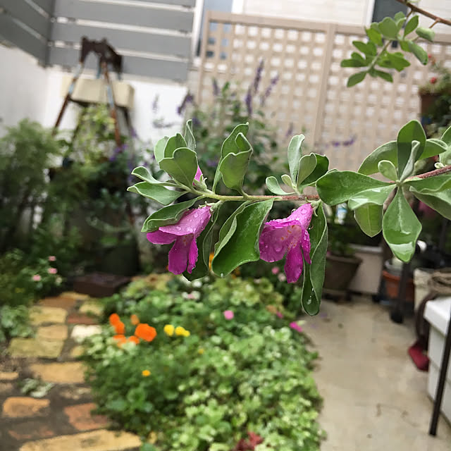 cocco0505さんの実例写真