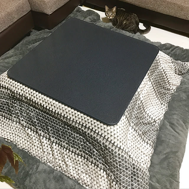 Shinさんの実例写真