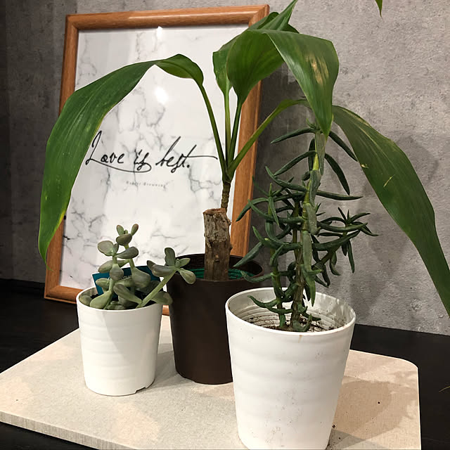 ainanaさんの実例写真
