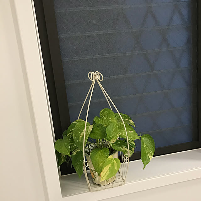 バス/トイレ/観葉植物/LIXIL/ノーリツのインテリア実例 - 2017-10-09 18:58:56