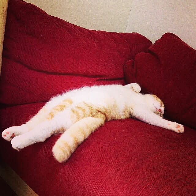 mochiさんの実例写真