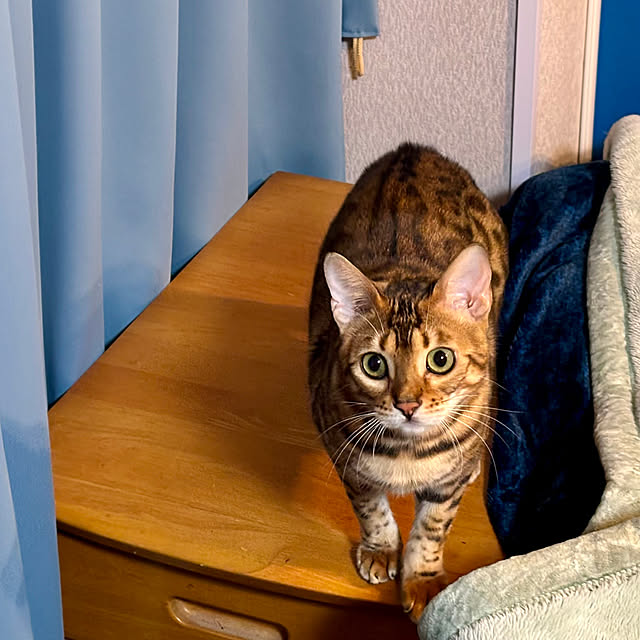 tututu0204さんの部屋