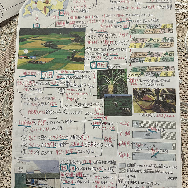 mamizaさんの部屋